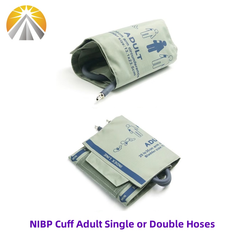 Reusable Blood Pressure NIBP C - đánh giá và giá Monitor Arm Single