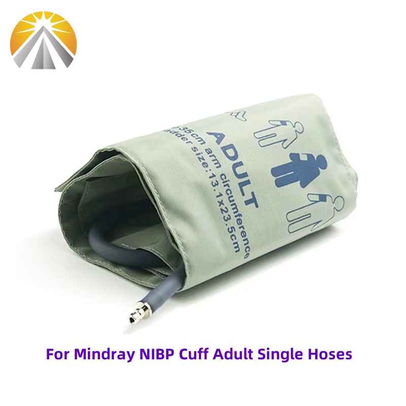 Reusable Blood Pressure NIBP C - đánh giá và giá Monitor Arm Single