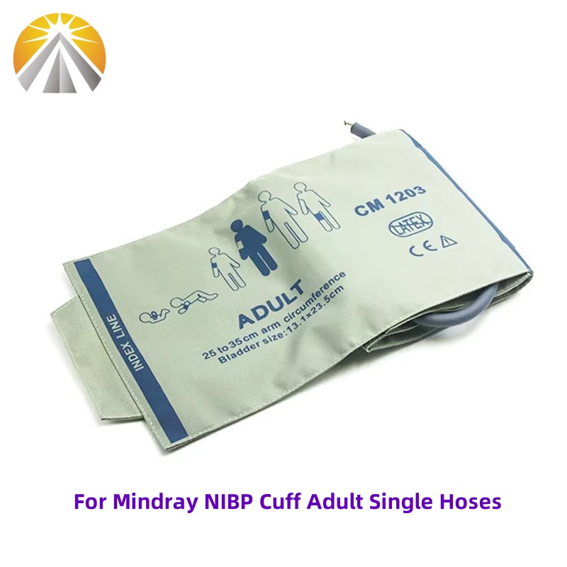 Reusable Blood Pressure NIBP C - đánh giá và giá Monitor Arm Single